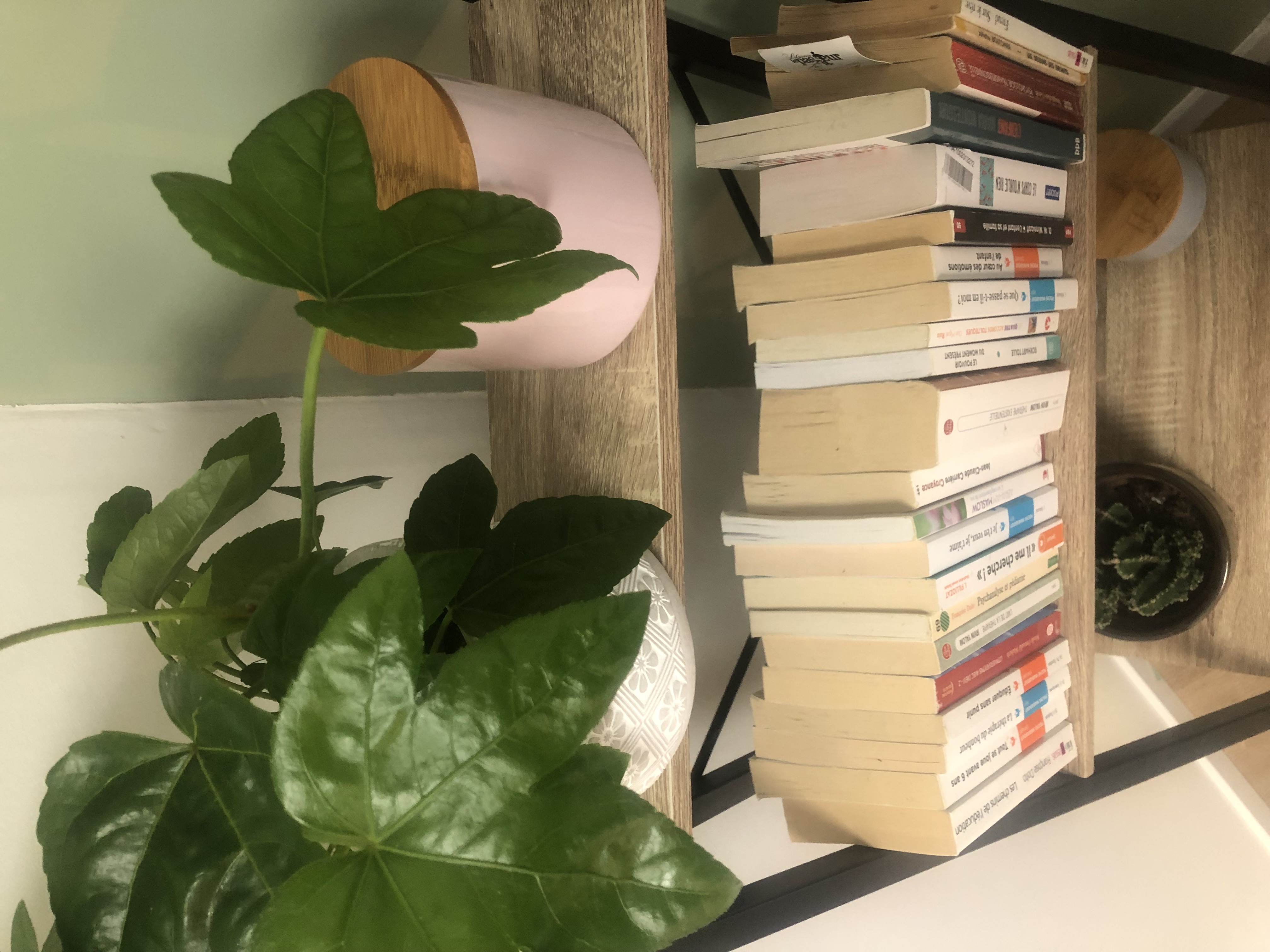 espace thérapeutique